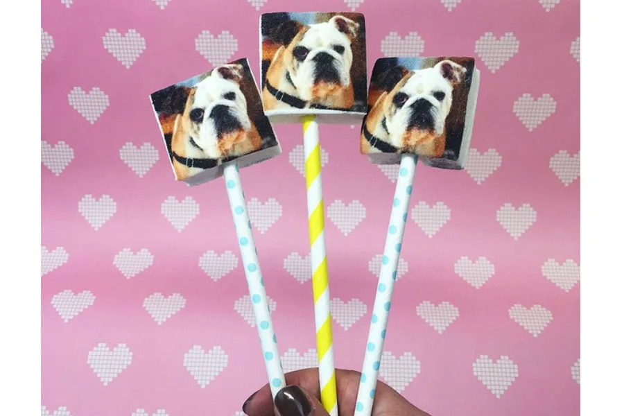 Cool, creative custom photo gifts: Boomf gourmet marshmallow photo pops!