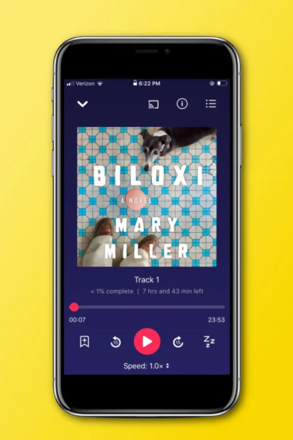 Comparing audiobook app options: What's good about Librovos
