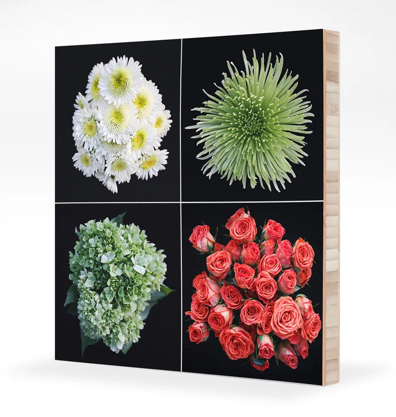 Jesse Michener Floral Art on Plywerk
