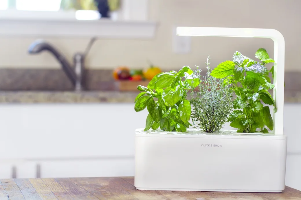 Indoor herb garden: Click & Grow Smart Herb Garden