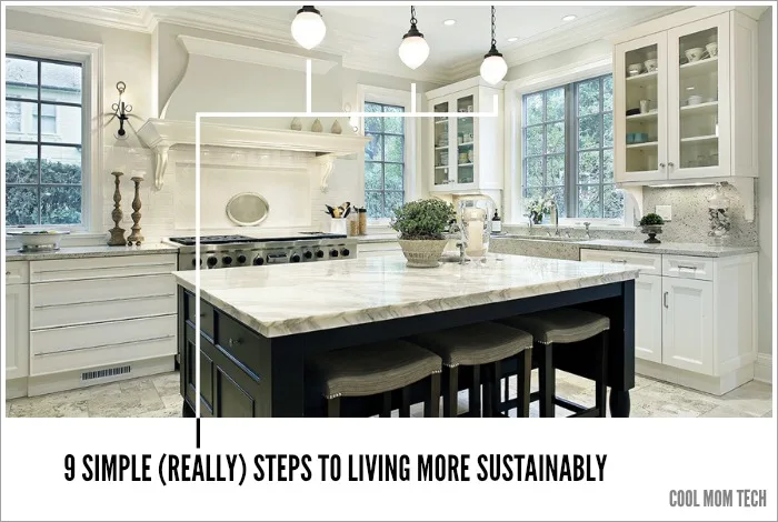 9 Small Steps to Sustainable Living