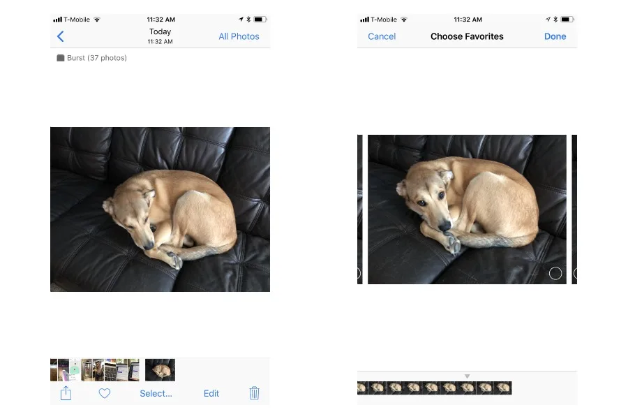 Burst Mode is the iPhone camera feature every parent should be using