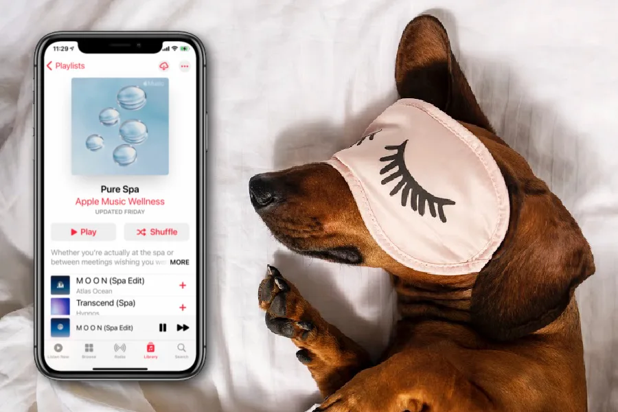 My favorite iPhone trick to help you fall asleep -- and stay asleep!