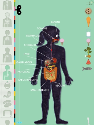 Best kids' apps: Human Body app | Cool Mom Tech