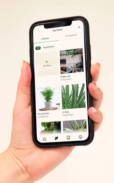 Keep track of your plants with the Vera from Bloomscape gardening app
