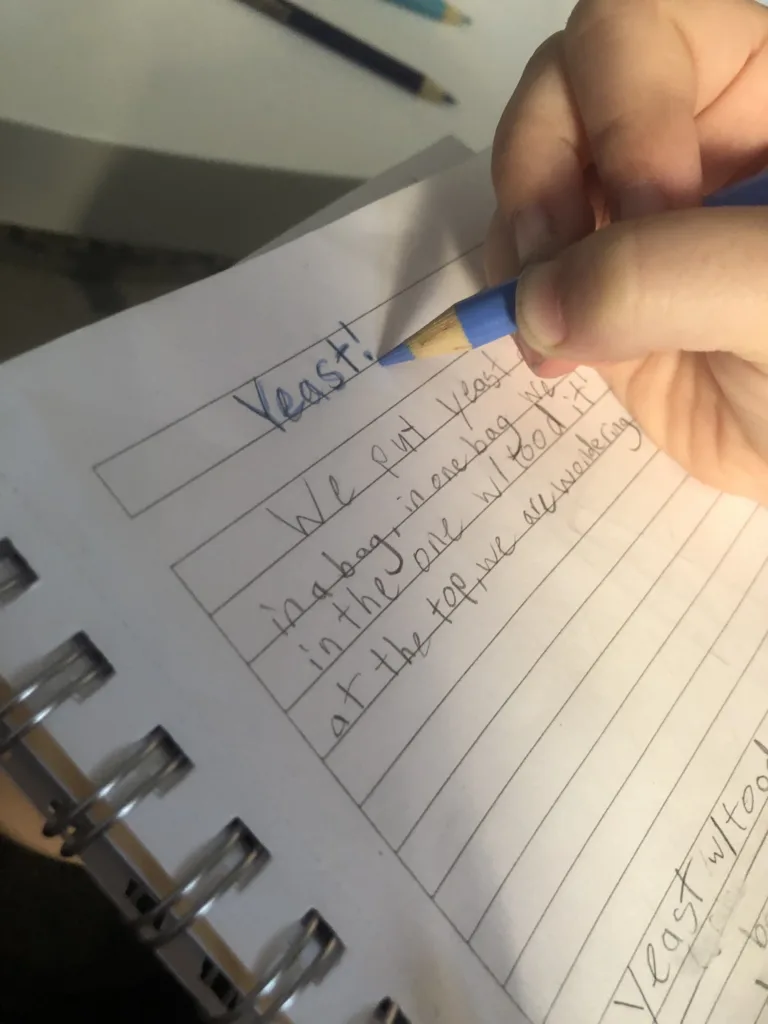 Kids' science journal ideas: Track results of experiments and tests | Cool Mom Tech