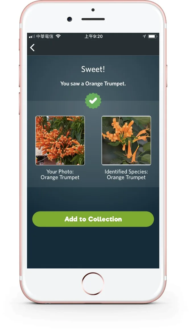 Match species you see with a database of images, with the Seek app from iNaturalist.