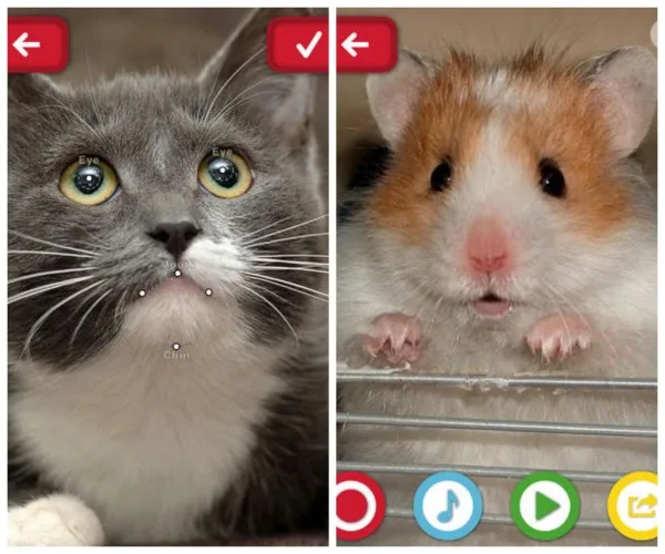 Funny pet apps: My Talking Pet app