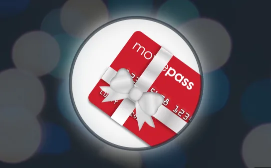 Subscription Gifts: Not No. 2: Holiday Tech Guide 2017