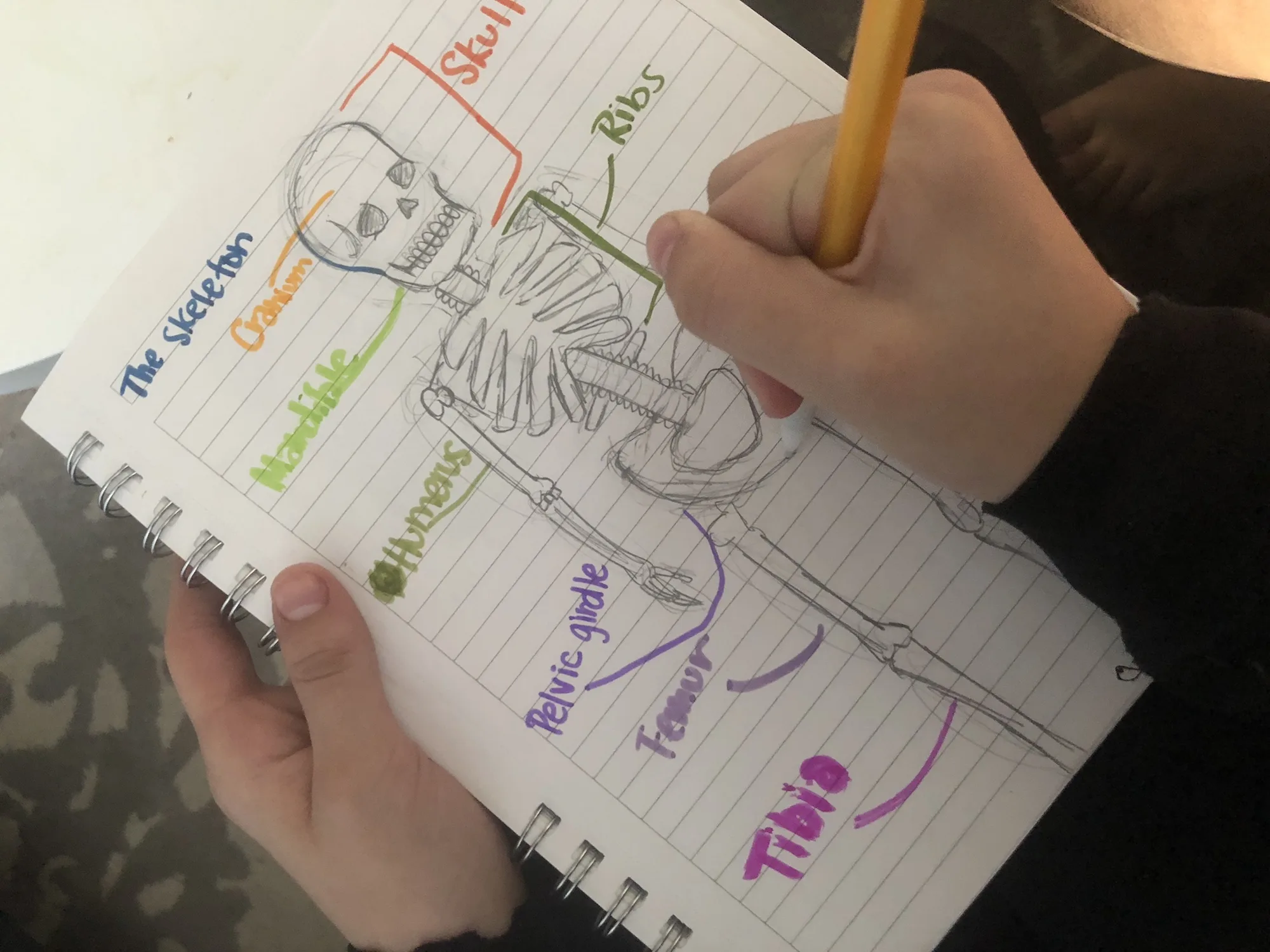 Science Activities for Grade Schoolers: How to create and use a science journal
