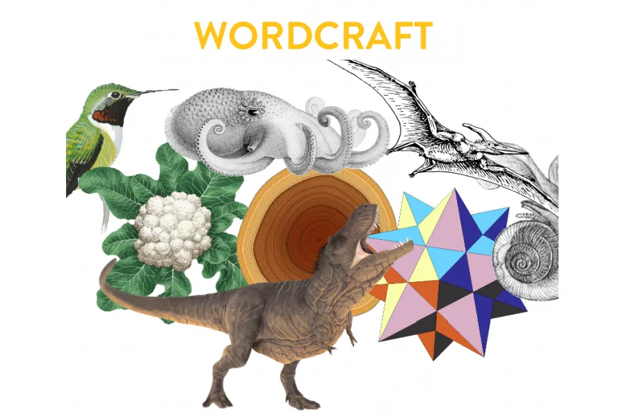 Wordcraft: The vocabulary app my kids actually love playing.